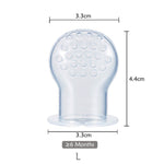 Fresh Food Nibbler Baby Pacifiers