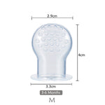 Fresh Food Nibbler Baby Pacifiers