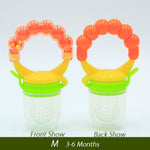 Fresh Food Nibbler Baby Pacifiers