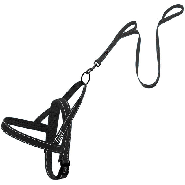 No pull dog harness leash