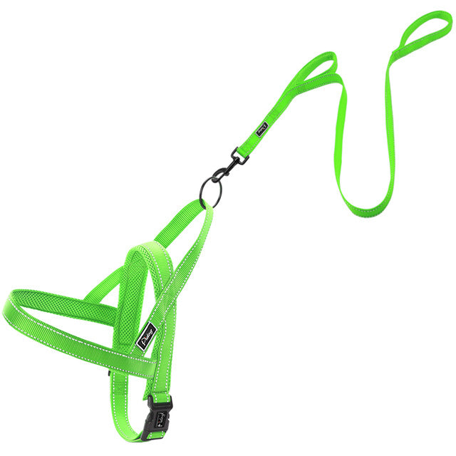 No pull dog harness leash