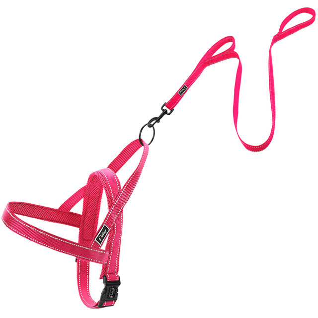 No pull dog harness leash