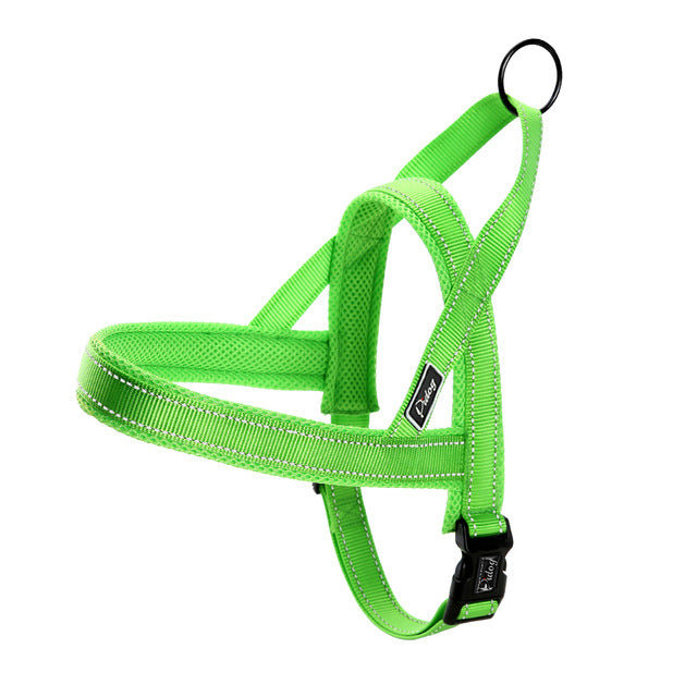 No pull dog harness leash