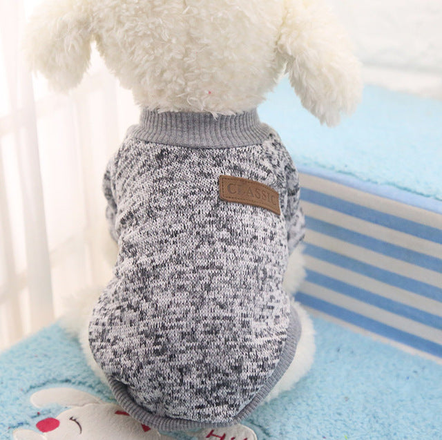 Puppy Jacket