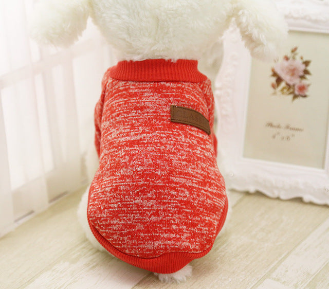 Puppy Jacket