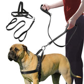 No pull dog harness leash